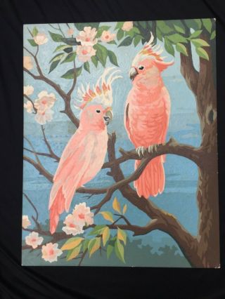 Vintage 16” X 20” 1950s Paint By Numbers Cockatoo Flamingo Bird Oil Painting