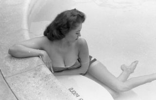 1960s Ron Vogel Negative,  Buxom Pin - Up Girl Donalda Jordan In Swimsuit,  T232185