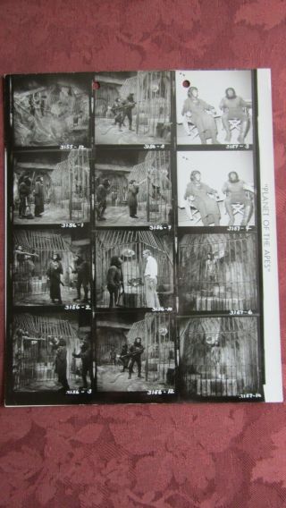 Planet Of The Apes (1968) - Cut Scene - B/w 8x10 Contact Sheet