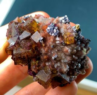 Purple & Yellow Fluorite W/ Stephanite Crystals: Sauberg Mine.  Saxony,  Germany