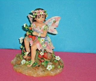 Rare Christine Haworth Faerie / Fairy Leonardo Figurine Ltd Ed Strawberry Patch