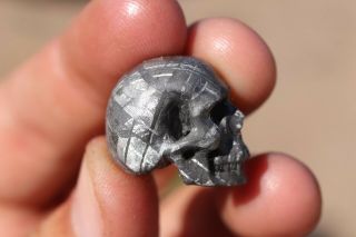 Gibeon Meteorite Skull 17.  8 Grams Etch