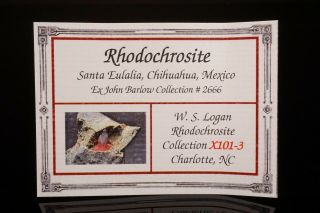Rhodochrosite Crystal SANTA EULALIA,  MEXICO - Ex.  Barlow,  Logan 8