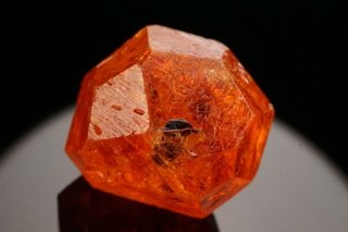 GEM Spessartine Garnet Crystal LOLIONDO,  TANZANIA 11