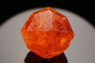 GEM Spessartine Garnet Crystal LOLIONDO,  TANZANIA 3