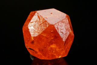 GEM Spessartine Garnet Crystal LOLIONDO,  TANZANIA 5