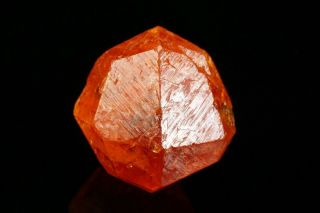 GEM Spessartine Garnet Crystal LOLIONDO,  TANZANIA 9