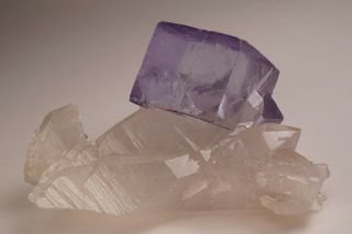 AESTHETIC Fluorite on Quartz Crystal YAOGANGXIAN MINE,  CHINA - Ex.  Smale 9