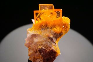 AESTHETIC GEM Wulfenite & Mimetite Crystal Cluster ROWLEY MINE,  ARIZONA 6