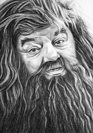 Aceo Sketch Card Harry Potter Robbie Coltrane Giant Hagrid