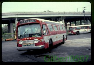 South Carolina Electric & Gas Bus Slide 3333 Taken 1981