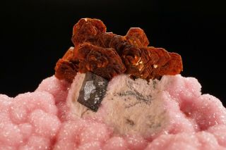 EXTRAORDINARY Shigaite & Rhodochrosite Crystal N ' CHWANING MINE,  SOUTH AFRICA 2