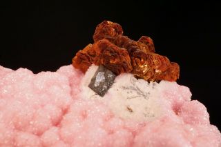 EXTRAORDINARY Shigaite & Rhodochrosite Crystal N ' CHWANING MINE,  SOUTH AFRICA 8