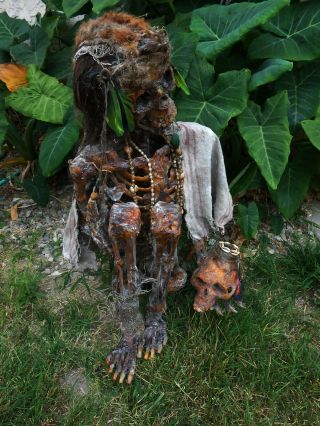 Skull Shaman Ceremonial Oddity Voodoo Doll Mummy Potc Tattoo Sideshow Gaff