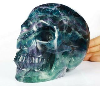 Lifesized 7.  0 " Fluorite Carved Crystal Skull,  Realistic,  Crystal Healing