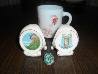 Vtg.  Souvenirs Old Man In The Mountain N.  H,  Lapel Pin,  Salt & Pepper Set & Mug