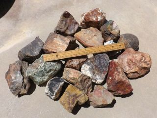 30,  Lbs Mixed Lapidary Rough Jasper Agate Petrified Wood Unknowns