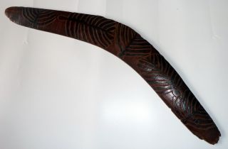 Early Australian Boomerang Carved & Incised with Snake and Aboriginal Symbols 2