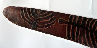 Early Australian Boomerang Carved & Incised with Snake and Aboriginal Symbols 3
