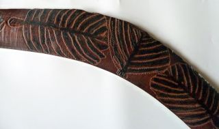 Early Australian Boomerang Carved & Incised with Snake and Aboriginal Symbols 4