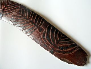 Early Australian Boomerang Carved & Incised with Snake and Aboriginal Symbols 5