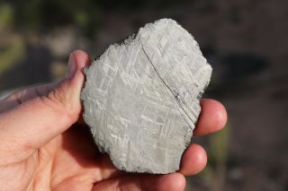 Muonionalusta meteorite etched full slice 93.  2 grams 3