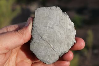 Muonionalusta meteorite etched full slice 93.  2 grams 4