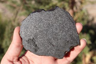 impact melt meteorite NWA full slice 66.  9 grams under classification 3