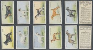 CIGARETTE CARD SET W.  D & H.  O WILLS LTD,  DOGS 1937 (ID:984/AD180) 4