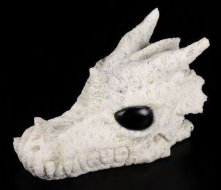 5.  4 " White Coral Carved Crystal Dragon Skull,  Black Obsidian Eyes