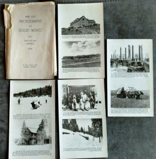 Haynes Rare Photos/good Wishes - Set Of 4 Cards - Yellowstone Park