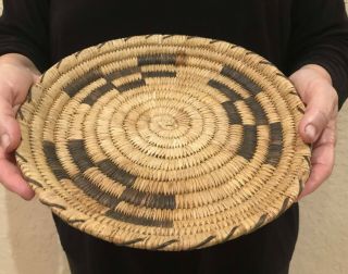 Older Native Papago Indian Basket Geometric Design Devils Claw 10 3/4 Inches