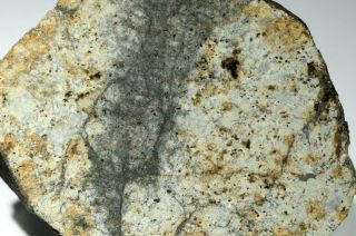 Vinales Meteorite end cut weighing 19.  9 grams.  From recent fall in Cuba 2