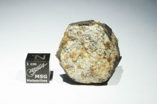 Vinales Meteorite end cut weighing 19.  9 grams.  From recent fall in Cuba 3