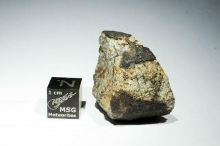 Vinales Meteorite end cut weighing 19.  9 grams.  From recent fall in Cuba 4