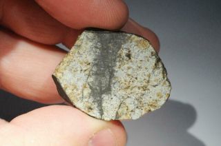 Vinales Meteorite end cut weighing 19.  9 grams.  From recent fall in Cuba 5