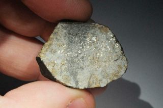 Vinales Meteorite end cut weighing 19.  9 grams.  From recent fall in Cuba 6