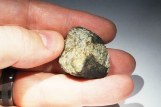 Vinales Meteorite end cut weighing 19.  9 grams.  From recent fall in Cuba 7