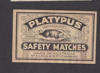 Ae Old Matchbox Label Australia Fffff4 Platypus Average 60