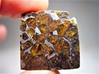 Museum Quality Crystals Brahin Pallasite Meteorite 19.  4 Gms