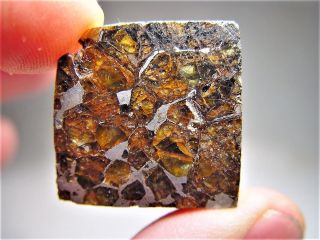 MUSEUM QUALITY CRYSTALS BRAHIN PALLASITE METEORITE 19.  4 GMS 2