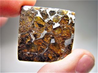 MUSEUM QUALITY CRYSTALS BRAHIN PALLASITE METEORITE 19.  4 GMS 3