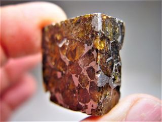 MUSEUM QUALITY CRYSTALS BRAHIN PALLASITE METEORITE 19.  4 GMS 4