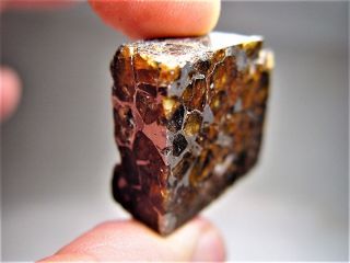 MUSEUM QUALITY CRYSTALS BRAHIN PALLASITE METEORITE 19.  4 GMS 5