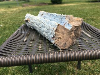 Blue Forest Petrified Wood - Long Bubbly Blue Log From Eden Valley 3