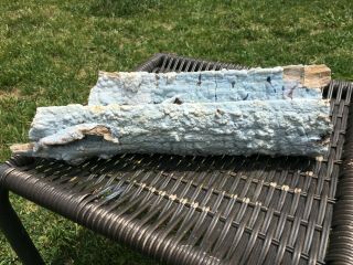 Blue Forest Petrified Wood - Long Bubbly Blue Log From Eden Valley 4