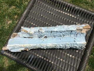 Blue Forest Petrified Wood - Long Bubbly Blue Log From Eden Valley 5