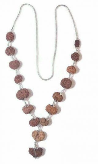 Rudraksha Siddha Mala - Java Beads {1 Till 14 Mukhi Rudraksh} - Lab Certified