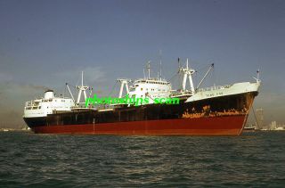 1 Slide Of Kie Hock Cargo Ship Tong Poh (ex - Sunvard,  57 - 66,  Klosters)