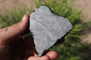 Muonionalusta meteorite etched full slice 283.  9 grams THICK GREAT FOR JEWELRY 4